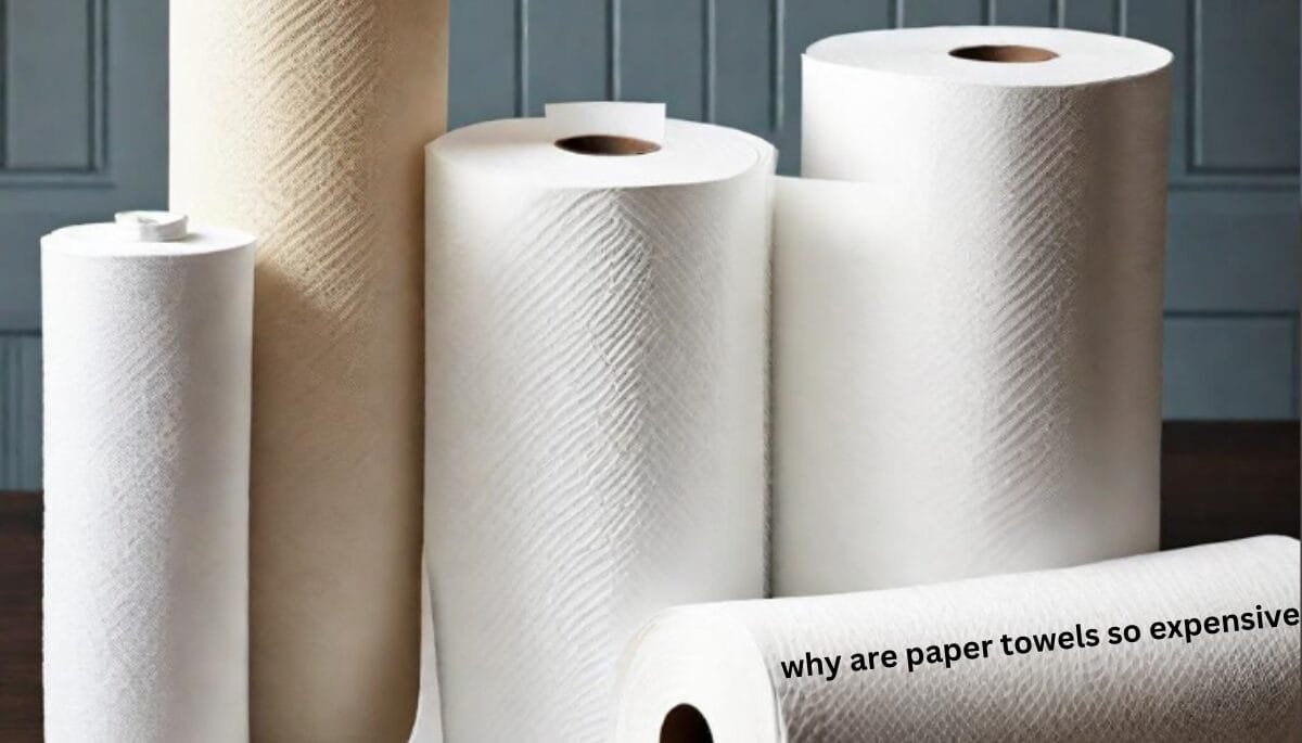 The Best Paper Towel Brands of 2024 - Reviews by Your Best Digs